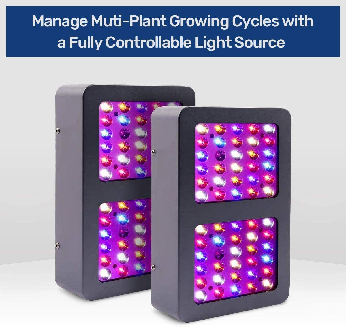 Manage Muti-Plant Growing Cycles with a Fully Controllable Light Source Manage Muti-Plant Growing Cycles with a Fully Controllable Light Source