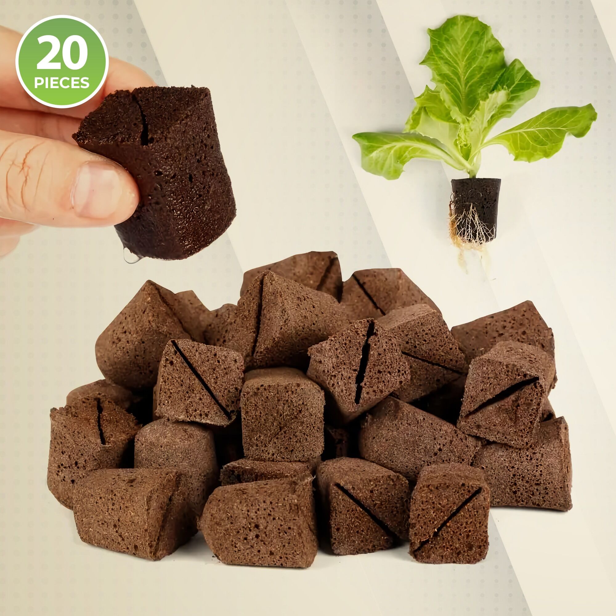 Nutrient-Enhanced Seedling Rapid Rooters Nutrient-Enhanced Seedling Rapid Rooters