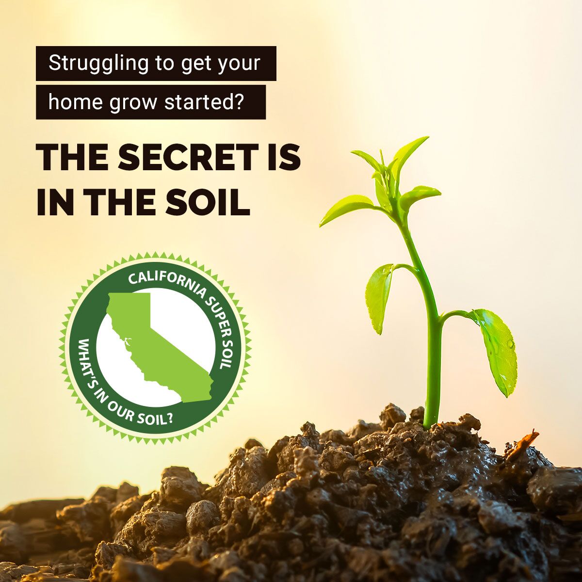 The Secret is in the Soil The Secret is in the Soil