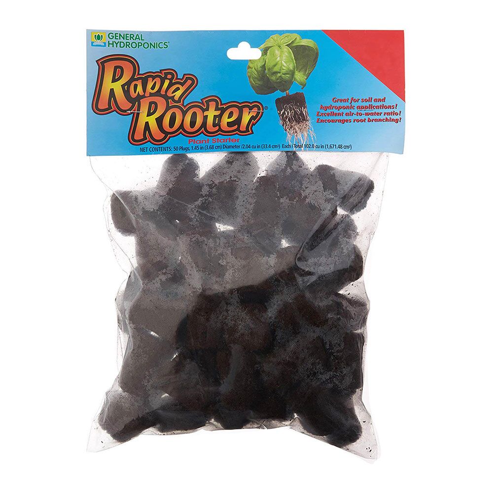 Rapid Rooter Rapid Rooter