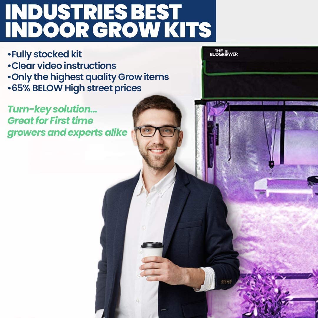 Have Questions? We Offer Grow Support