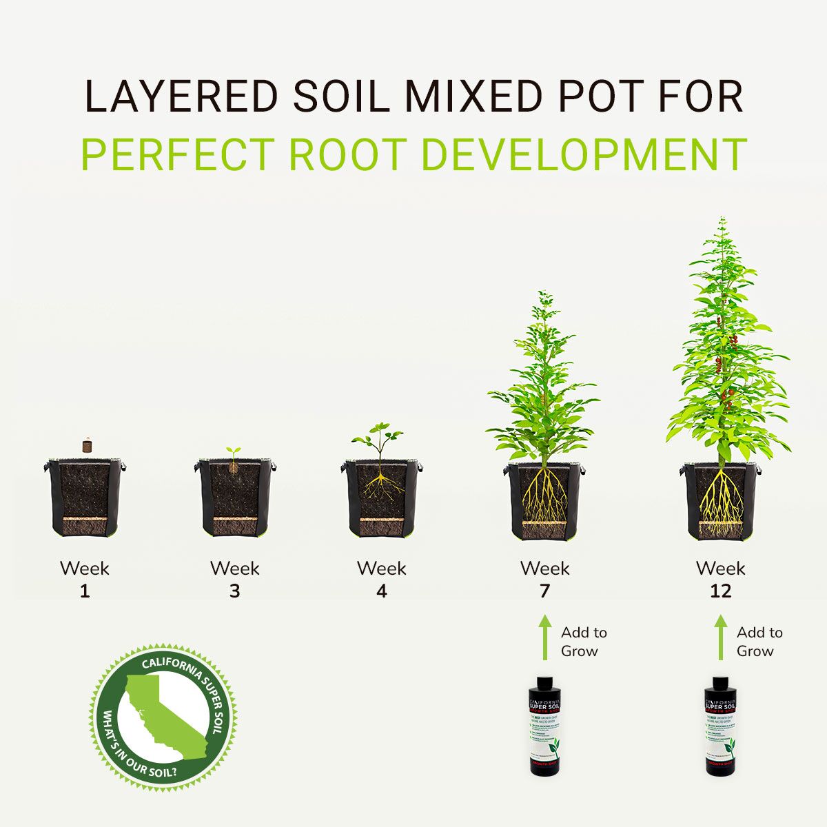 Layered soil mixed pot for perfect root development Layered soil mixed pot for perfect root development