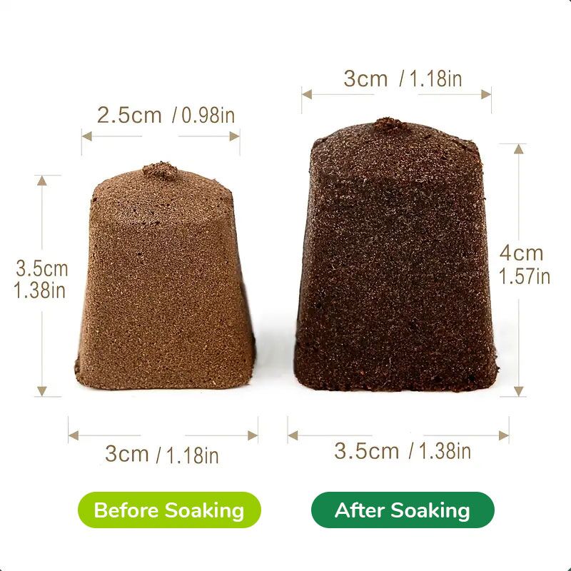 Before and After Soaking Before and After Soaking